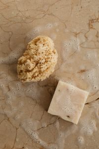 Kaboompics - Natural Sea Sponge and White Soap Bar in Suds