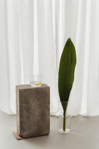 Kaboompics - Lemon Water Glass on Stone Block in Minimal Still Life