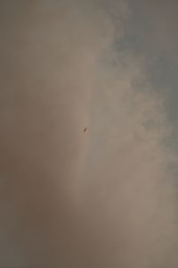 Kaboompics - Airplane Crossing a Muted Cloudy Sky