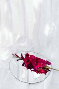 Artistic Flower Still Life With Glass Vases, Sheer Fabric, and Mirror Reflections