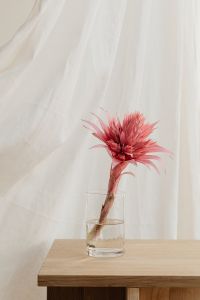 Kaboompics - Minimal White Textile Detail and Gentle Shadows
