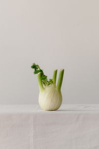 Kaboompics - Single Fennel Bulb on Light Background with Generous Copy Space