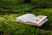 Kaboompics - Close-Up Autumn Leaves on an Open Book with Forest Bokeh, Reading Lifestyle
