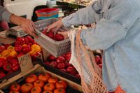 Kaboompics - Woman Choosing Tomatoes with a Shopping Basket