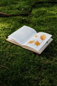 Kaboompics - Close-Up Open Book and Ochre Leaves on Moss for Autumn Reading Content