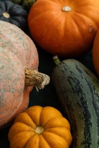 Kaboompics - Close Up Autumn Pumpkin Still Life on Dark Green Background