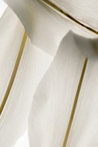 Kaboompics - White Lily Petal Texture With Subtle Light And Shadow