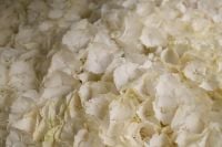 Kaboompics - White Flower Petals Close Up for a Soft Floral Texture Background