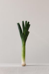 Kaboompics - Single Green Leek on White Background, Minimal Vegetable Still Life