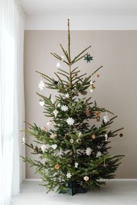 Kaboompics - Full Decorated Christmas Tree in Neutral Living Room
