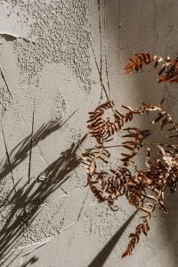 Kaboompics - Light Rough Plaster Wall with Diagonal Shadows