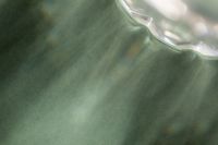 Kaboompics - Muted Green Shadow Background for Minimalist Design