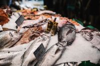 Kaboompics - Whole Fresh Fish on Ice at La Boqueria Market