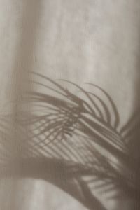 Kaboompics - Crisp Palm Leaf Shadow on Beige Linen Background