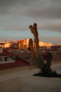 Kaboompics - Cactus Silhouette Against Mediterranean Rooftops at Golden Hour
