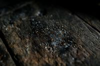 Kaboompics - Wooden workshop floor