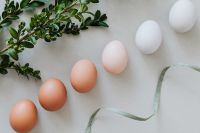 Kaboompics - Brown and White Eggs with Boxwood and a Curved Green Ribbon, Easter Food Background