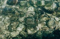 Kaboompics - Small Fish Swimming over Stones in Clear Seawater