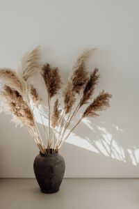 Pampas Grass In A Vase