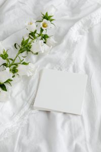Kaboompics - White Flower Flat Lay on Rumpled Linen with Generous Copy Space