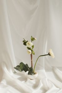 Kaboompics - Green Leaves and White Blossoms on a Minimal Fabric Background