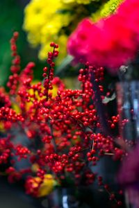 Kaboompics - Red rowan with a colourful arrangement of flowers