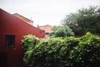 Kaboompics - Lush Green Hedge Framing a Deep Red Venetian Wall on Murano Island, Italy