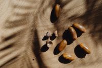 Kaboompics - Acorns and Oak Leaves on Beige Fabric with Shadows