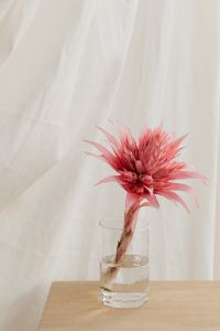 Kaboompics - White Fabric Folds in a Minimal Interior