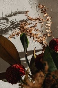 Kaboompics - Warm Floral Arrangement in Textured Ceramic Vase Against Wall