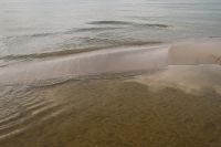 Kaboompics - Shallow Sea Water and Sandy Beach