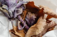 Kaboompics - Close-Up Dried Purple Leaf Bouquet in White Wrapping