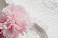 Kaboompics - Pale Pink Peonies on White Lace Background with Copy Space