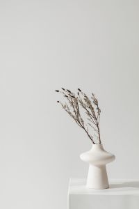 Kaboompics - Cloud Dancer White Vase with Dried Branches on a Pedestal