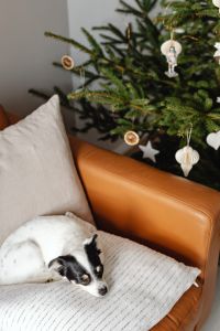 Kaboompics - Christmas with wood and paper dercorations