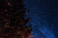 Kaboompics - A trees under the starry sky