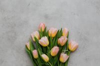 Kaboompics - Small Tulip Bouquet on a Gray Textured Background for Spring Poster Design
