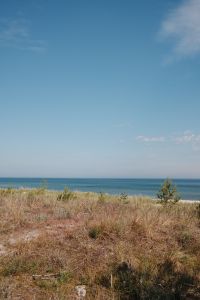 Kaboompics - Coastal Dunes with Grass and Ocean Horizon