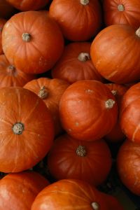 Kaboompics - Bright Orange Pumpkins Against a Dark Background