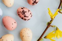 Kaboompics - Easter Eggs & Forsythia