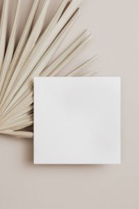 Kaboompics - Minimal Square Card with Dried Palm Leaves and Soft Beige Background