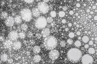Kaboompics - Abstract Bubble Texture Dense Pattern Black And White