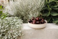 Kaboompics - Dark Cherries on a Stone Ledge Among Grasses