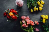 Kaboompics - Colorful Floral Border on Textured Gray Background