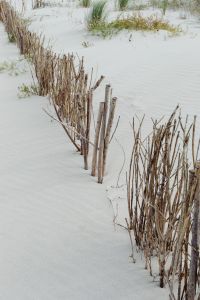 Kaboompics - Snow-Covered Baltic Beach Dunes with Rustic Stick Fencing and Dry Grass