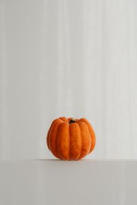Kaboompics - Single Orange Pumpkin on a White Shelf