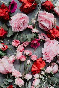 Composition of flowers