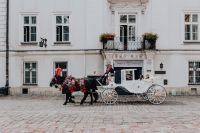 Kaboompics - White Horse Carriage in Krakow Historic Square