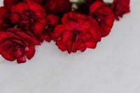 Kaboompics - Red Carnation Stems Lined Across Marble With Copy Space