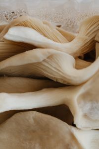 Kaboompics - White Mushroom with Pearl Chain on White Fabric